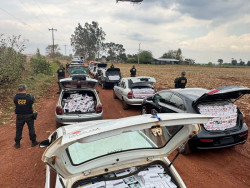 DOF localiza entreposto do crime e apreende 17 veículos carregados com contrabando