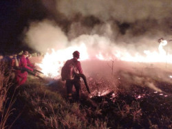 Atuação do Corpo de Bombeiros contribui para controle de incêndio em parque estadual