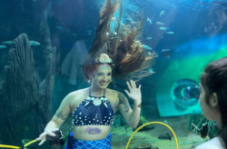 De passarinhada a mergulho de sereia e herói: Bioparque divulga programação de sábado