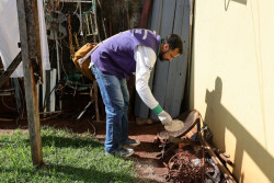 Dourados registra aumento de casos e dengue e intensifica ações preventivas