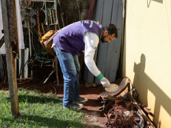 Dourados registra aumento de casos e dengue e intensifica ações preventivas