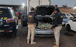 PRF apreende 590 quilos de maconha em Campo Grande