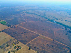 Incêndio provocado por caminhão com carga de algodão destrói mais de 2 mil hectares