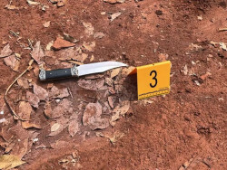 Mulher de 48 anos é morta com facada no peito pelo marido; 29º feminicídio do ano em MS