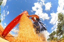 48 anos: MS se consolida como estado exportador de produtos para mais de 120 países