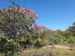 Prefeitura fará pesquisa socioambiental no Parque Natural Municipal do Paragem