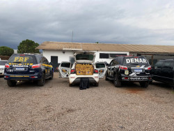 Operação conjunta apreende carga de maconha e cigarro na Capital