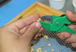 Cartilha da Aprosoja/MS ajuda produtores a evitar perdas na venda da soja