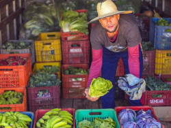 Congresso de Nutrição de MS debate desafios na alimentação e na saúde pública