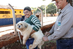 Vacinação antirrábica segue na área rural nesta semana; veja os locais