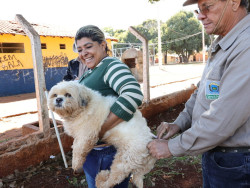 Vacinação antirrábica segue na área rural nesta semana; veja os locais