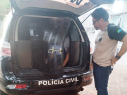 Homem que tentou atropelar a ex-mulher e a amiga dela é preso em clínica psiquiátrica