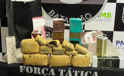 Ônibus sem passageiros é abordado e polícia apreende haxixe em Dourados