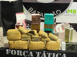 Ônibus sem passageiros é abordado e polícia apreende haxixe em Dourados