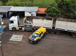 Carreta bitrem levava 20,2 toneladas de maconha escondidas em carga de milho; destino era o Sul