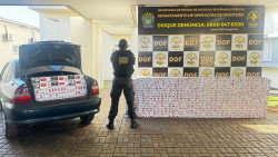 DOF apreende veículo com carga de cigarros avaliada em R$ 120 mil