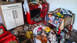 Após denúncia de vizinhos, 6 gatos são resgatados de casa com fezes e animais mortos