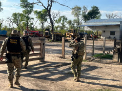 Operação mira exploração ilegal de terras da União para criação de gado no Pantanal de MS