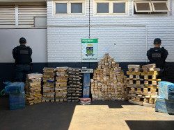 Maconha apreendida em casa de jovem com tornozeleira pessou 610,4 quilos