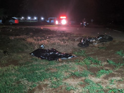 Van atropela moto e jovem morre com múltiplas fraturas e perna dilacerada na MS-379