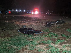 Segundo jovem atropelado por van está internado em estado grave no Hospital da Vida