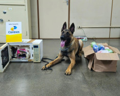 Polícia apreende 21 quilos de drogas de alto valor comercial em agência dos Correios