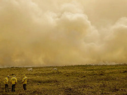 Calor já mata meio milhão de pessoas por ano, alertam cientistas