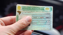 Governo oferecerá cursos gratuitos para obtenção de CNH