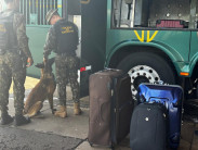 Operação na fronteira dá prejuízo de R$ 70 milhões ao crime organizado