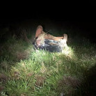 Traficante foragido da Justiça morre em acidente entre Aral Moreira e Sanga Puitã