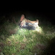 Traficante foragido da Justiça morre em acidente entre Aral Moreira e Sanga Puitã