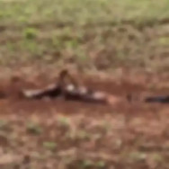 Trabalhador rural encontra corpo enterrado em área de lavoura na fronteira