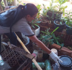 Dourados tem queda de 41% nas notificações de dengue em 2025