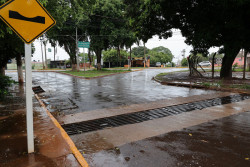 Ações preventivas reduzem quedas de árvores e alagamentos durante temporal em Dourados