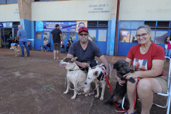Caravana da Castração atende 545 cães e gatos em Dourados em apenas 4 dias
