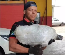 Idosa, filha e neto são esfaqueados e queimados vivos em MS