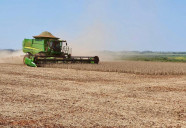 Tomada de crédito agrícola cai 53% em outubro em Mato Grosso do Sul