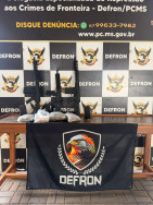 Defron prende rapaz em flagrante com 3 fuzis, cocaína e skunk em Ponta Porã