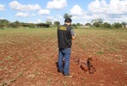 Homem confessa assassinato e ocultação de corpo no distrito Nova Itamarati