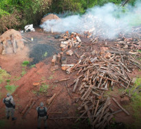Homem é multado e carvoaria ilegal fechada em área urbana de Coronel Sapucaia