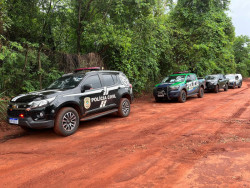 Cinco pessoas são presas e armas, munições e drogas apreendidas durante operação