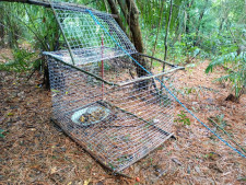 Polícia desmonta esquema de captura de animais silvestres e prende quatro traficantes