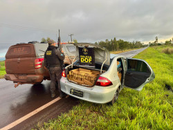 Traficante consegue fugir e abandonada carro com 1,1 tonelada em droga