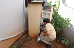 Boletim mostra que MS já registrou 8.299 casos confirmados de dengue