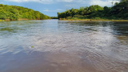 MPF entra com ação civil pública de R$ 300 milhões por contaminação do Rio Dourados por agrotóxico