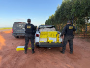 Homem é preso na MS-295 com 1 tonelada de droga que seguia para o Paraná