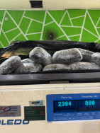 Mulher é flagrado com haxixe preso ao corpo durante em Coronel Sapucaia