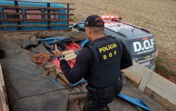 Foragido da Justiça é flagrado pelo DOF transportando 2 t de maconha