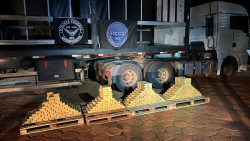 Caminhoneiro com antecedentes criminais é preso com quase meia tonelada de cocaína