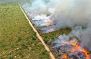 Seminário sobre Manejo Integrado do Fogo antecipa soluções e prevenção a incêndios florestais